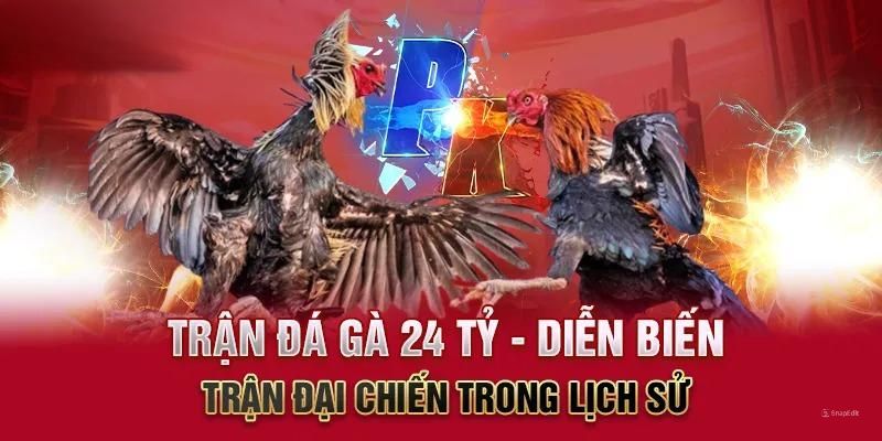 Trận Đá Gà 24 Tỷ - Cuộc Đối Đầu Giữa 2 Chiến Kê Đẳng Cấp Diễn biến kịch tính của trận đá gà 24 tỷ