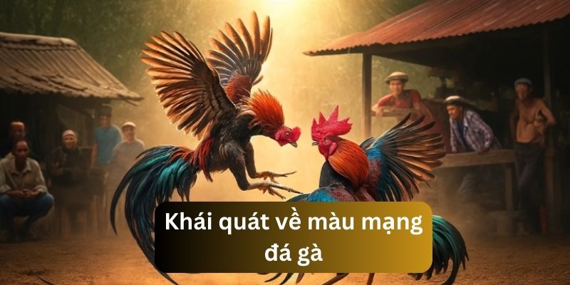 Màu Mạng Đá Gà - Cách Xem Màu Mạng Gà Chuẩn Để Chiến Thắng Giới thiệu cơ bản về màu mạng đá gà