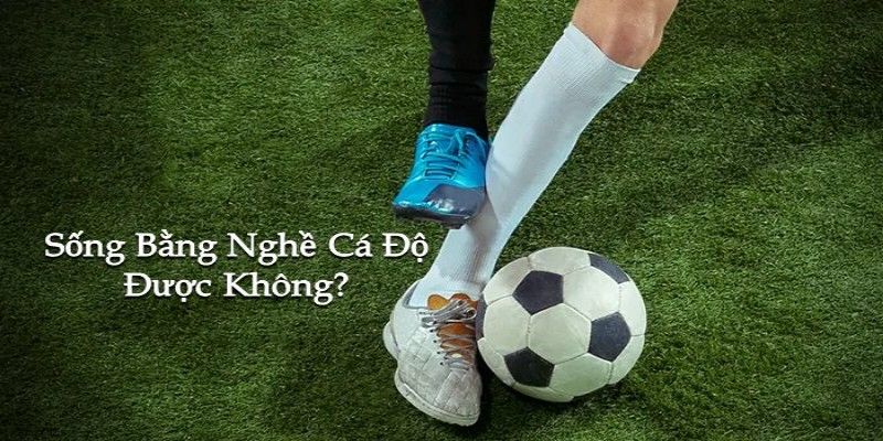 Kinh Nghiệm Sống Bằng Nghề Cá Độ Ổn Áp cách sống bằng nghề cá độ