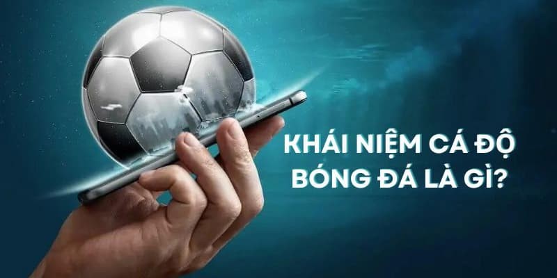 sống bằng nghề cá độ