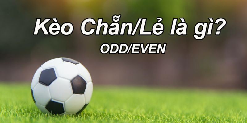 Kèo Chẵn Lẻ Là Gì? Cách Chốt Kèo Chẵn Lẻ Chuẩn Xác kèo chẵn lẻ